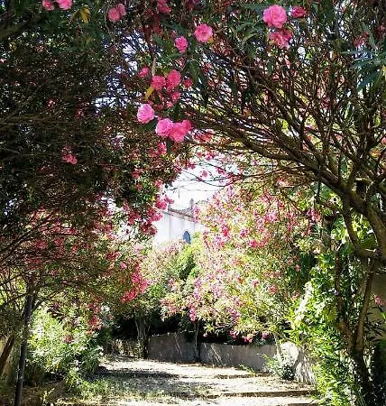 Casa Mimi Garden With A View Sardinia Holiday home *